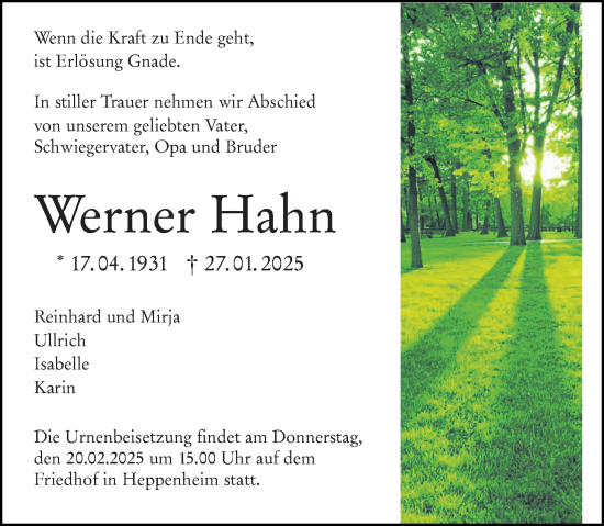Traueranzeige von Werner Hahn von Starkenburger Echo