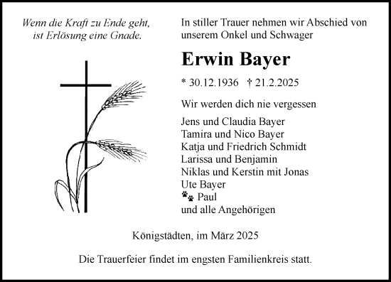 Traueranzeige von Erwin Bayer von Rüsselsheimer Echo