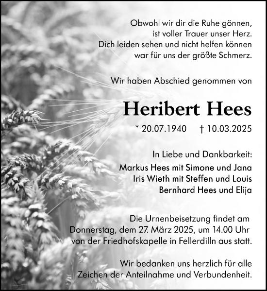 Traueranzeige von Heribert Hees von Dill Block
