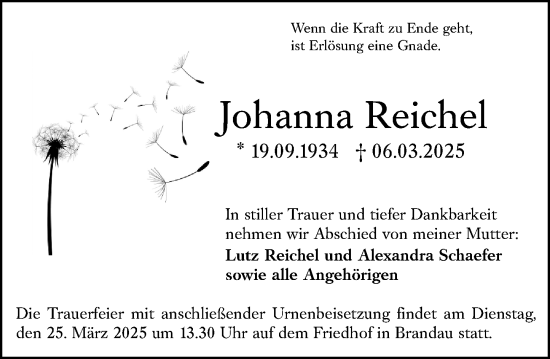 Traueranzeige von Johanna Reichel von Darmstädter Echo
