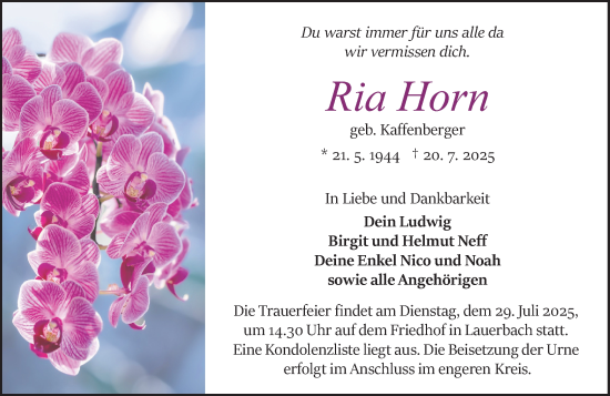 Traueranzeige von Ria Horn Horn von Odenwälder Echo
