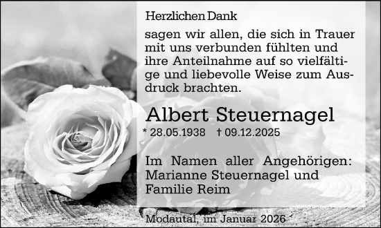 Traueranzeige von Albert Steuernagel von Darmstädter Echo