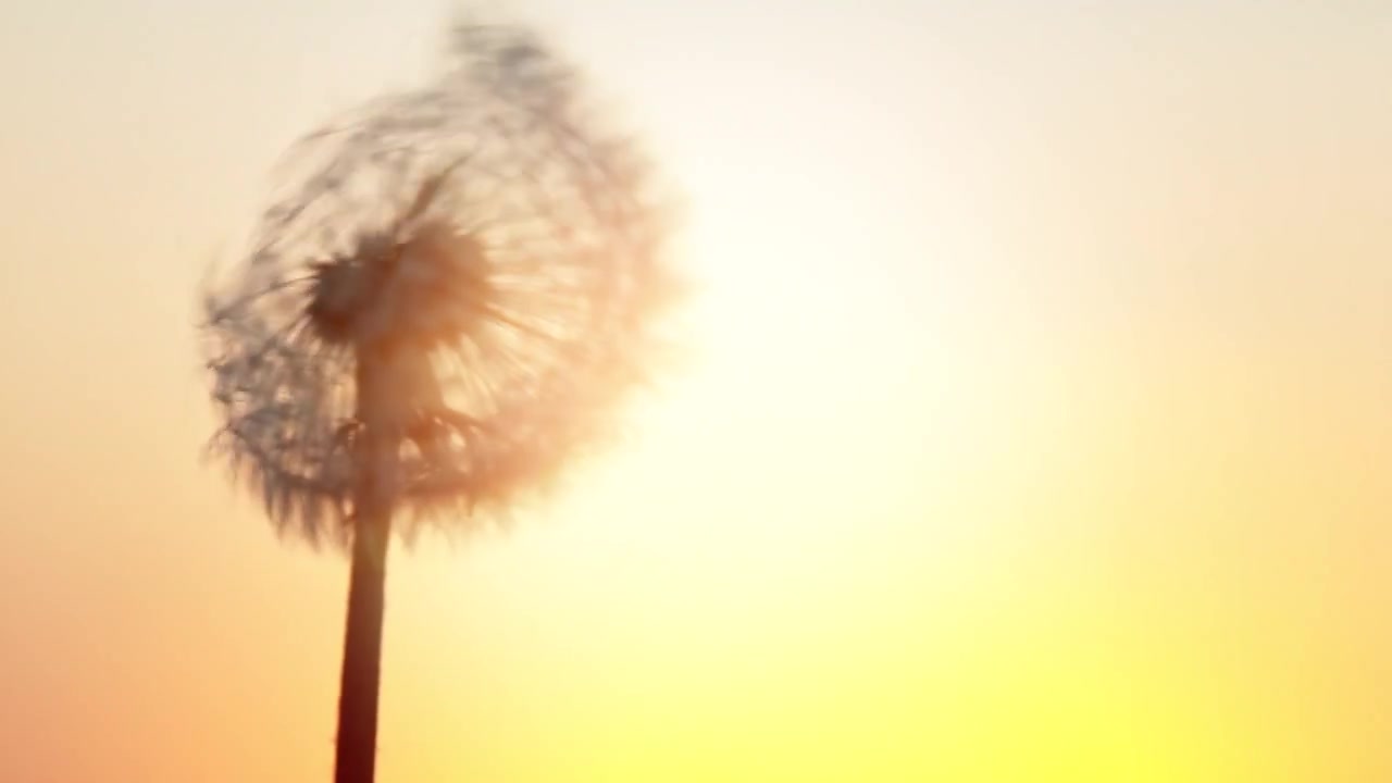 Video zur Danksagung 1