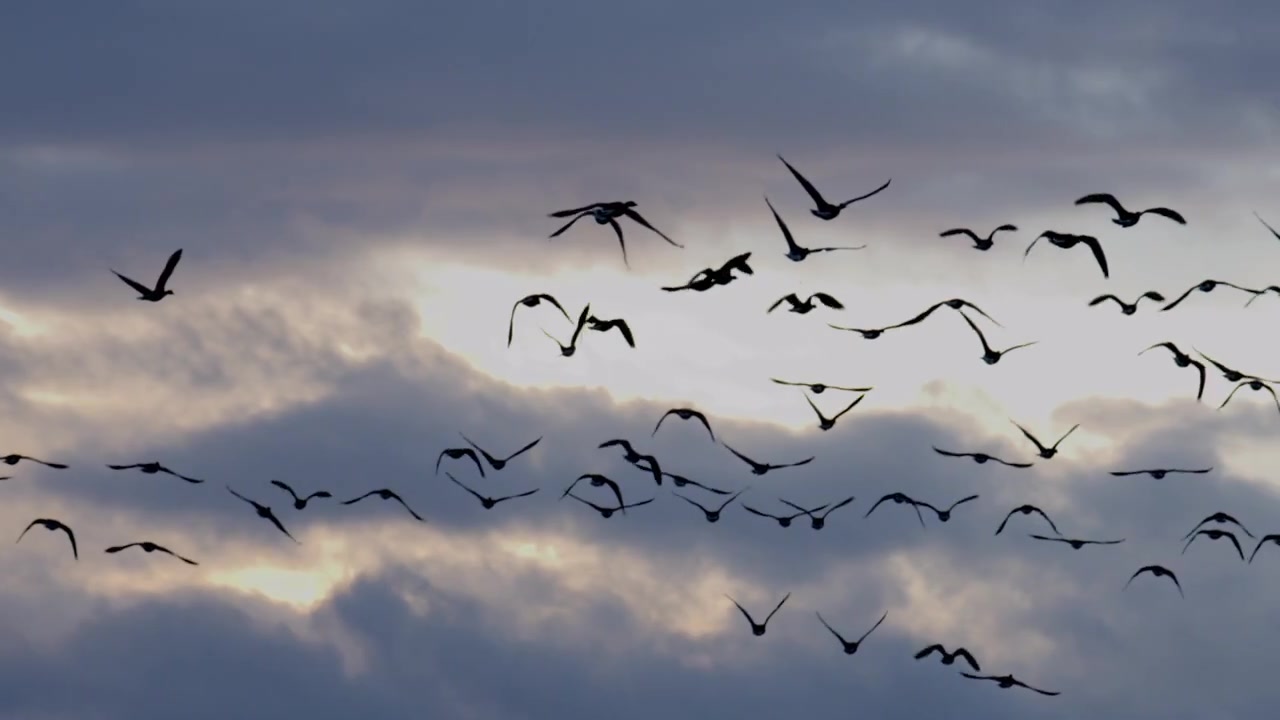 Video zur Danksagung 1