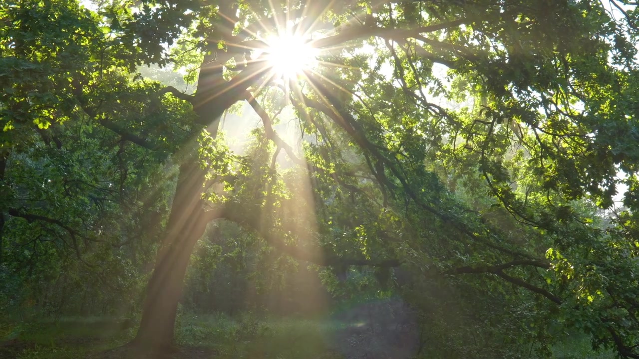 Video zur Traueranzeige 2