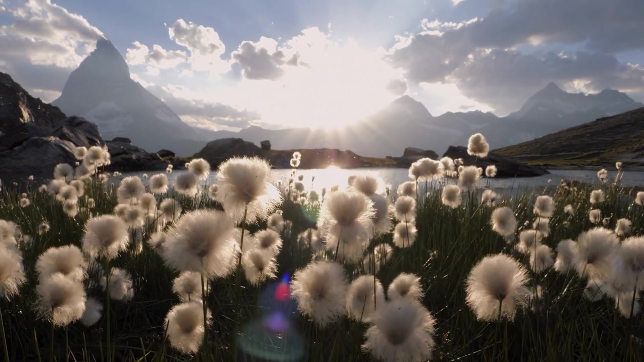 Video zur Traueranzeige 2